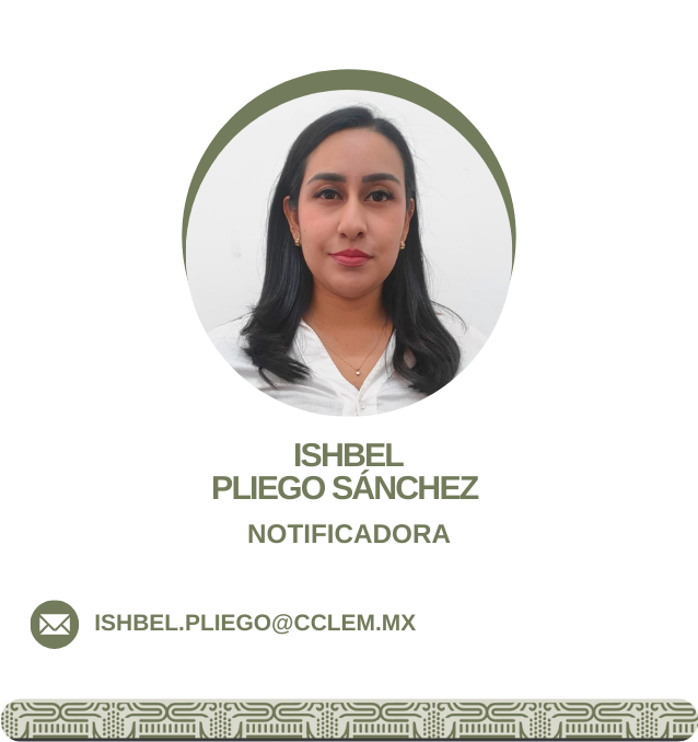 Notificador 10